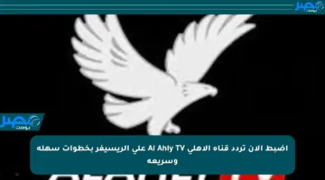 اضبط الآن تردد قناة الأهلي Al Ahly TV على الريسيفر بخطوات سهلة وسريعة